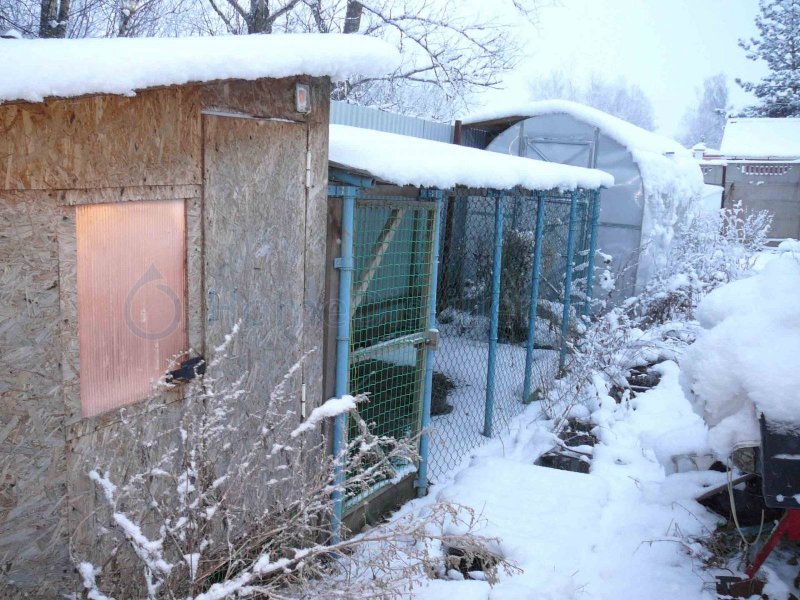 Утепленный курятник
