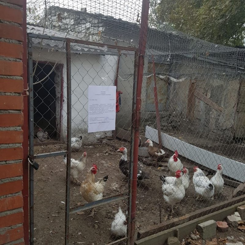 Курятник из гаража