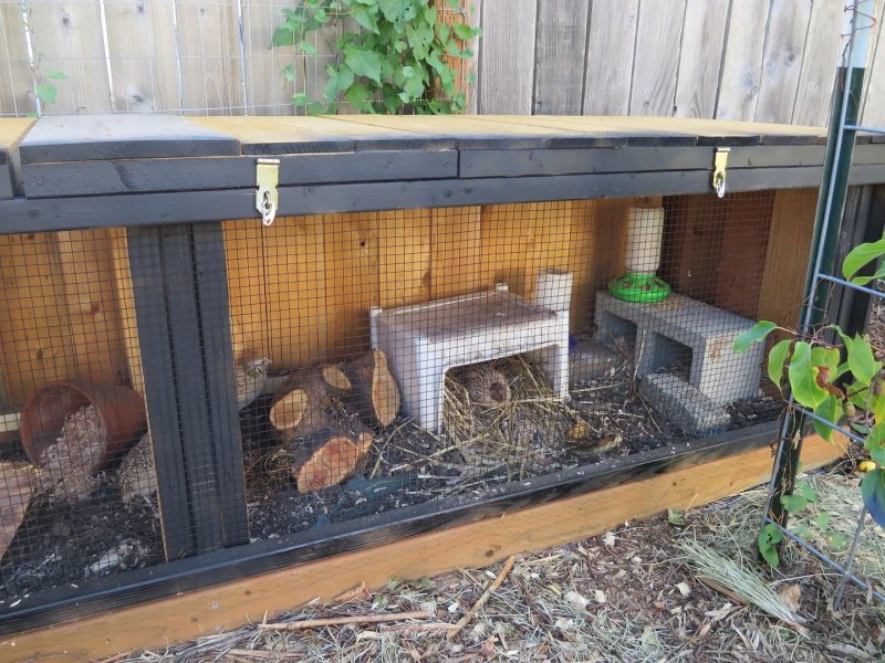 Quail Cage Plan