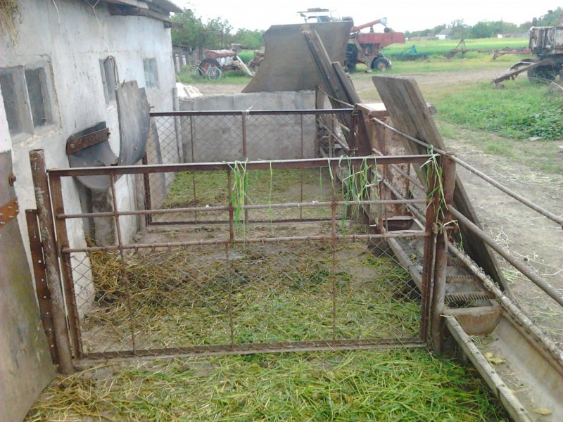 Загородки для свиней