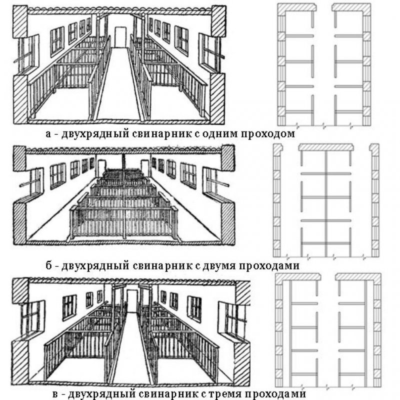 Проект свинарника на 10 свиноматок