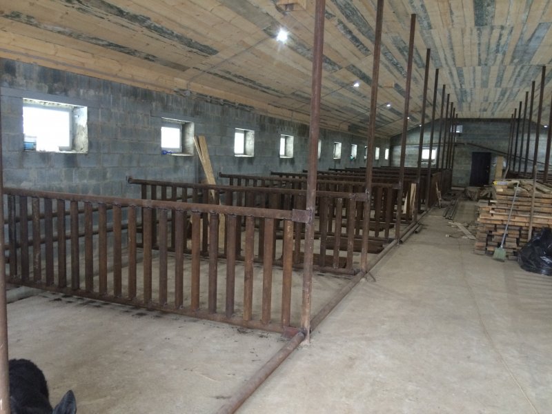 Свинарник из обрезной доски