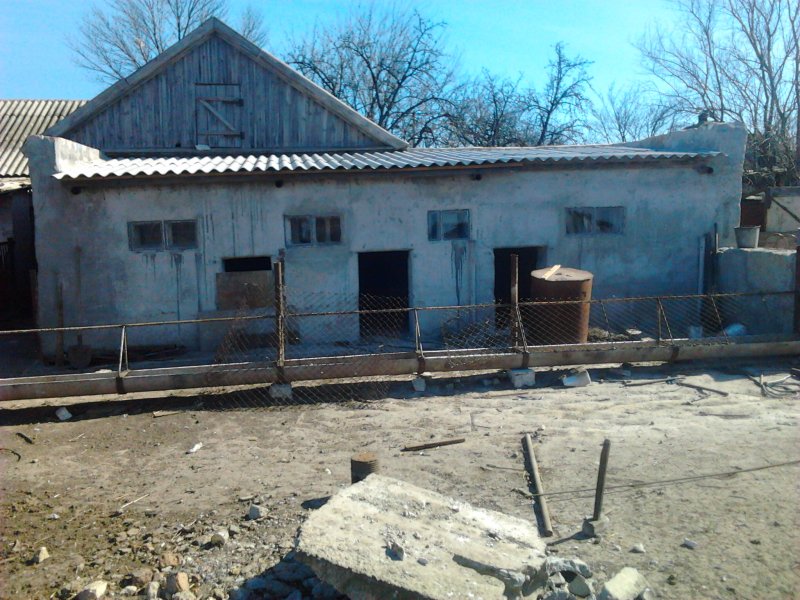 Сарай для поросят из пеноблока