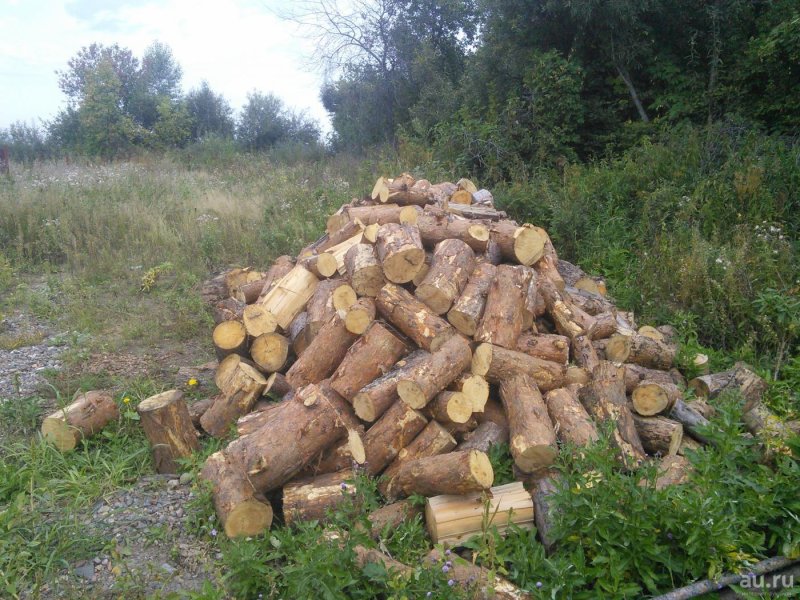 Дрова сосна сухая