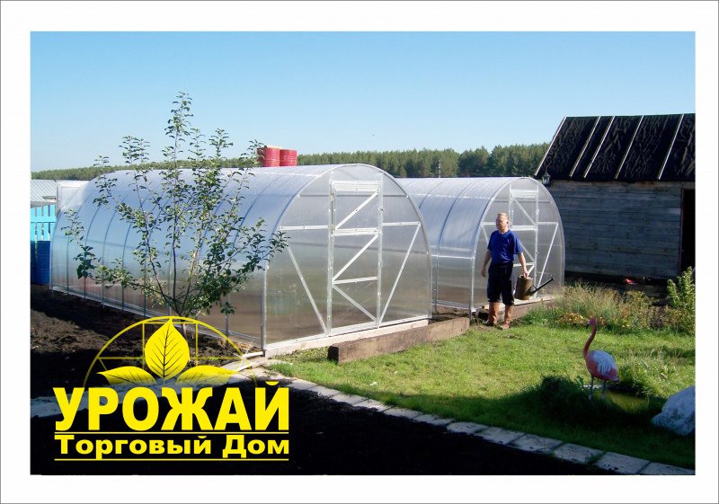 Две теплицы на участке