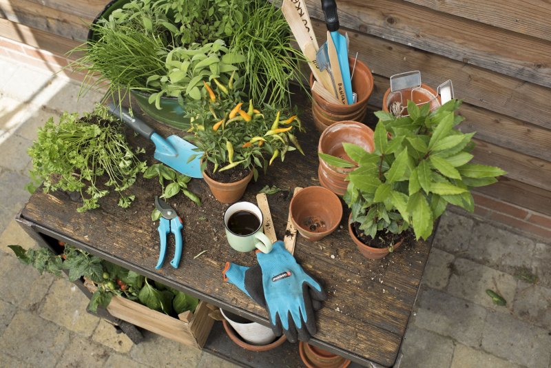 Gardena комплект садовых инструментов домашнее Садоводство 08965-30.000.00