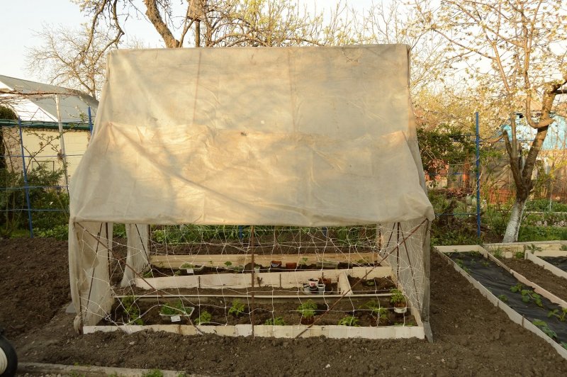 Парник своими руками из подручных