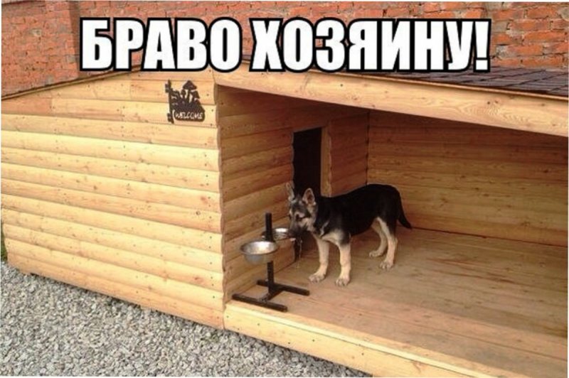Собачья конура для немецкой овчарки