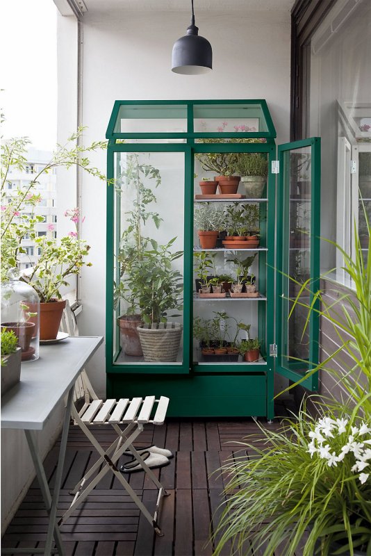 Smeg оранжерея sdp20