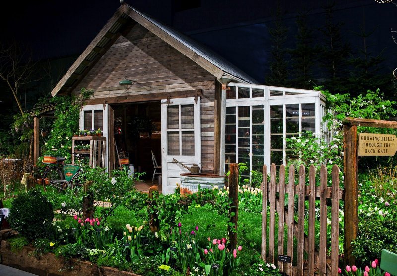 Garden Shed