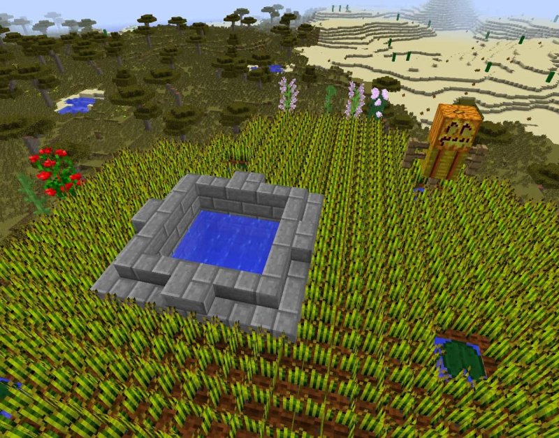 RPG Minecraft колодец