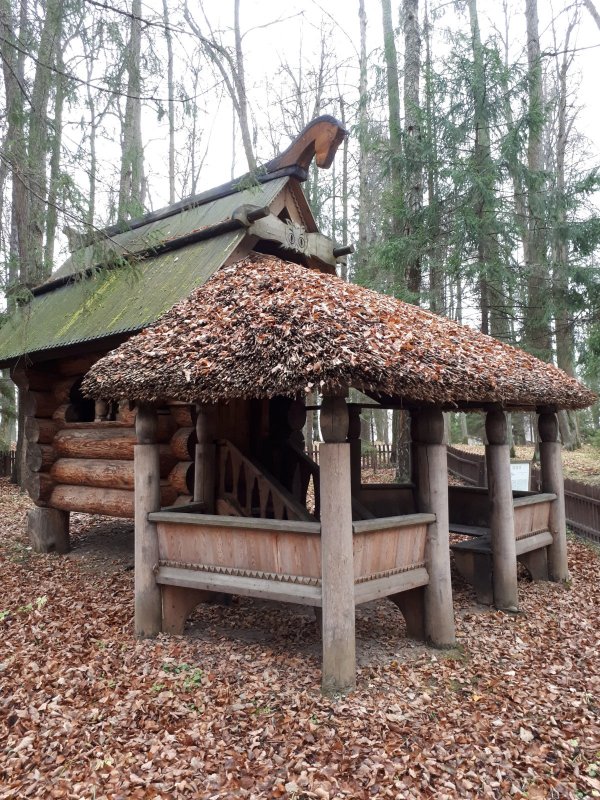 Курятник на курьих ножках