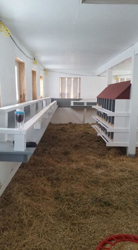 Птичник внутри