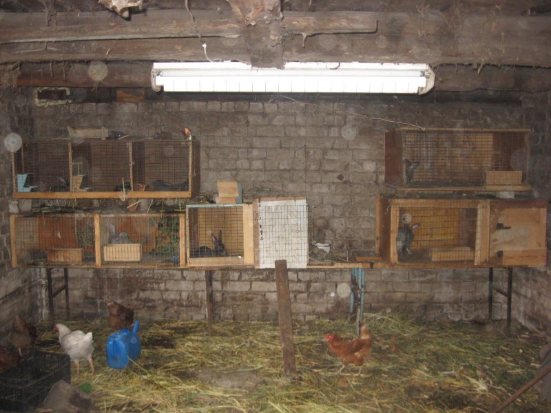 Крольчатник ферма