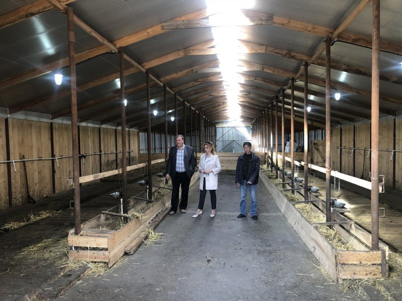 Сарай козлятник с курятником