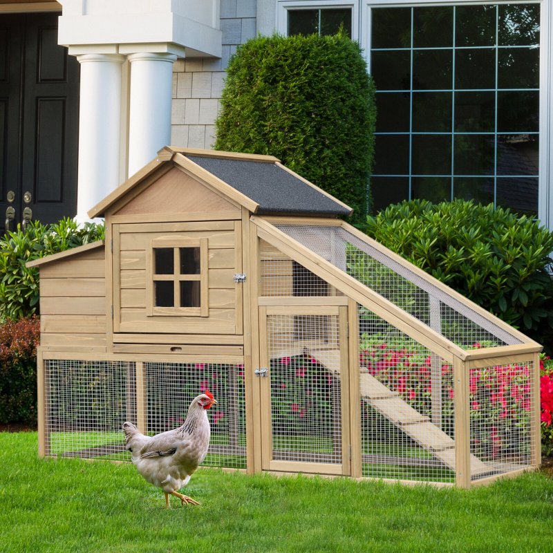 Домик для кур Hen House 10