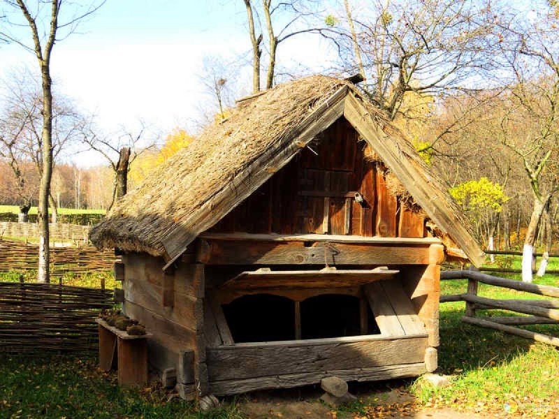 Сарай курятник в деревне