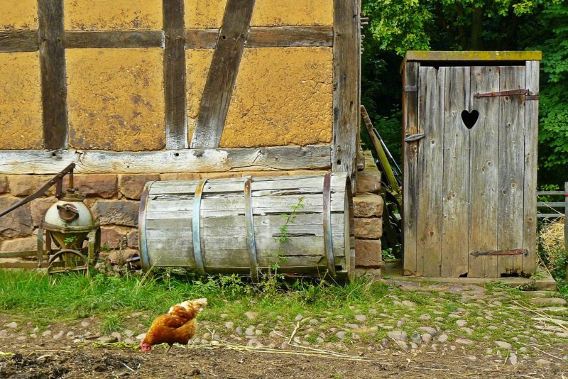 Курятник в селе