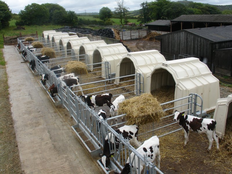 Домики для телят Calf Tel