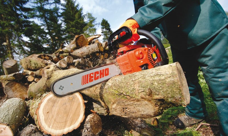 Echo 350 Wes