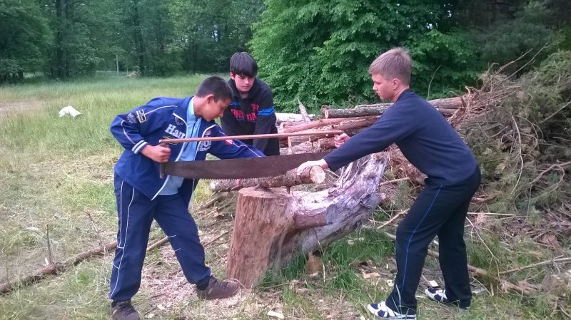 Пилить дрова