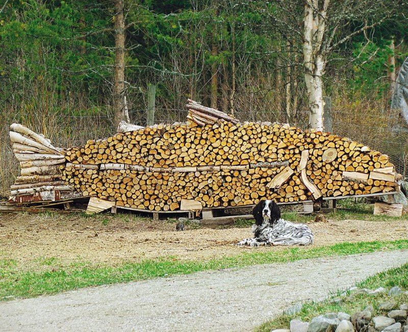 Скульптуры из дров