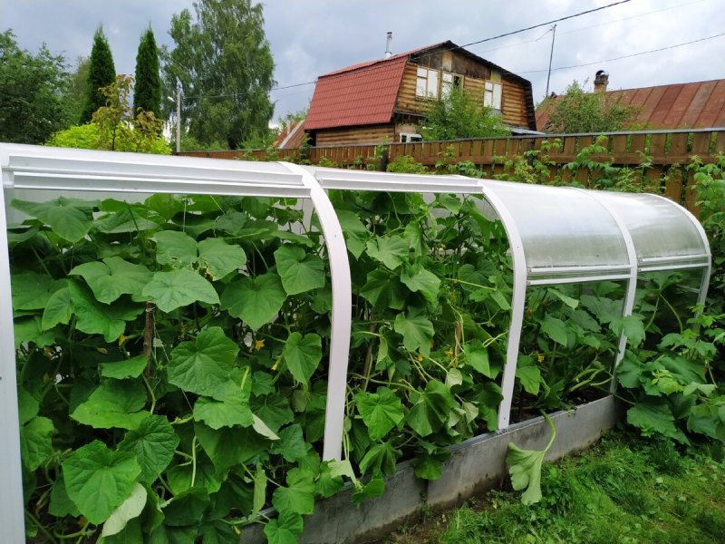 Парник пластиковый
