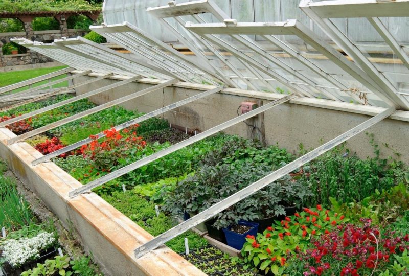 Парник Greenhouse т-21