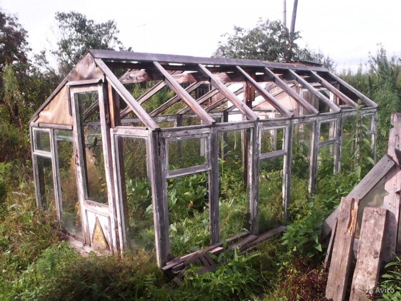 Теплица сарай 6x6