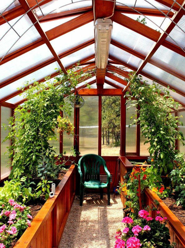 Теплица Greenhouse