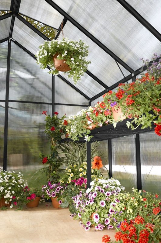 Теплица Greenhouse