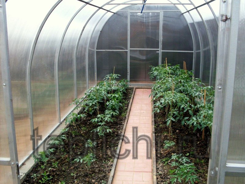 Парник внутри теплицы