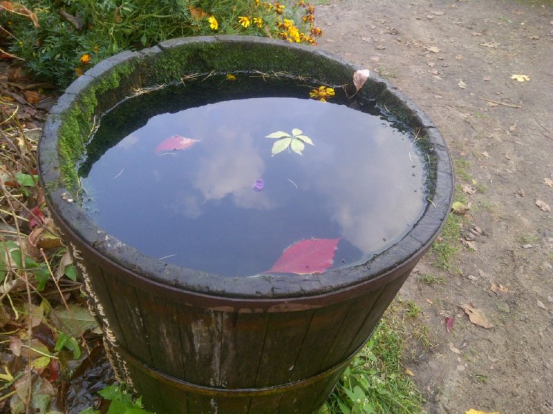 Бочка для воды