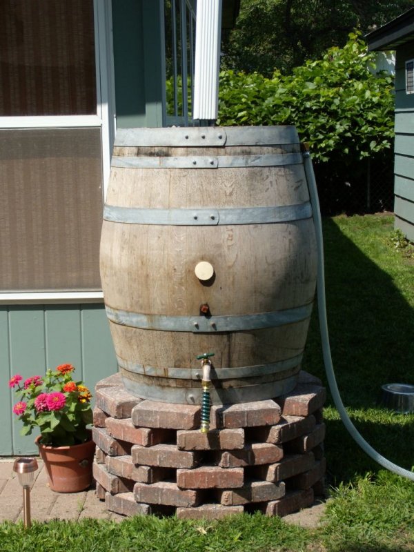 Rain Barrel бочка