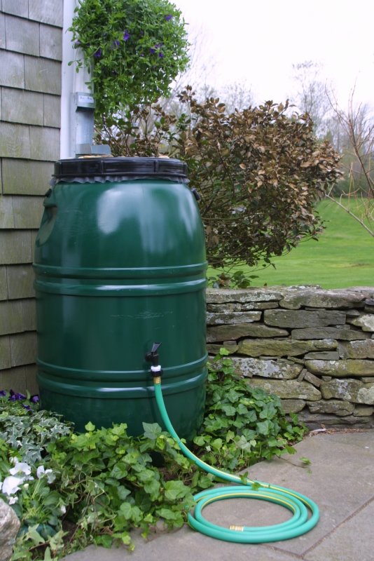 Rain Barrel бочка
