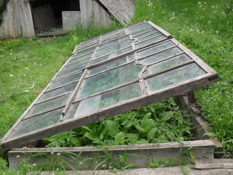 Парник из старых досок