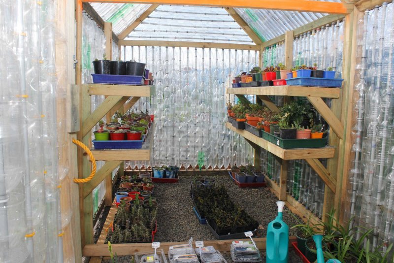 Парник из пластиковых бутылок
