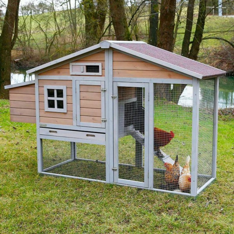 Деревянный курятник