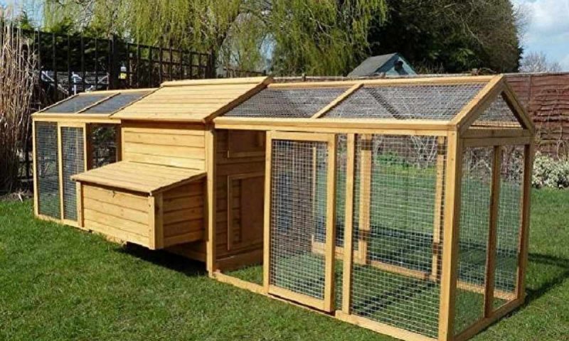 Дачный курятник на 10 кур
