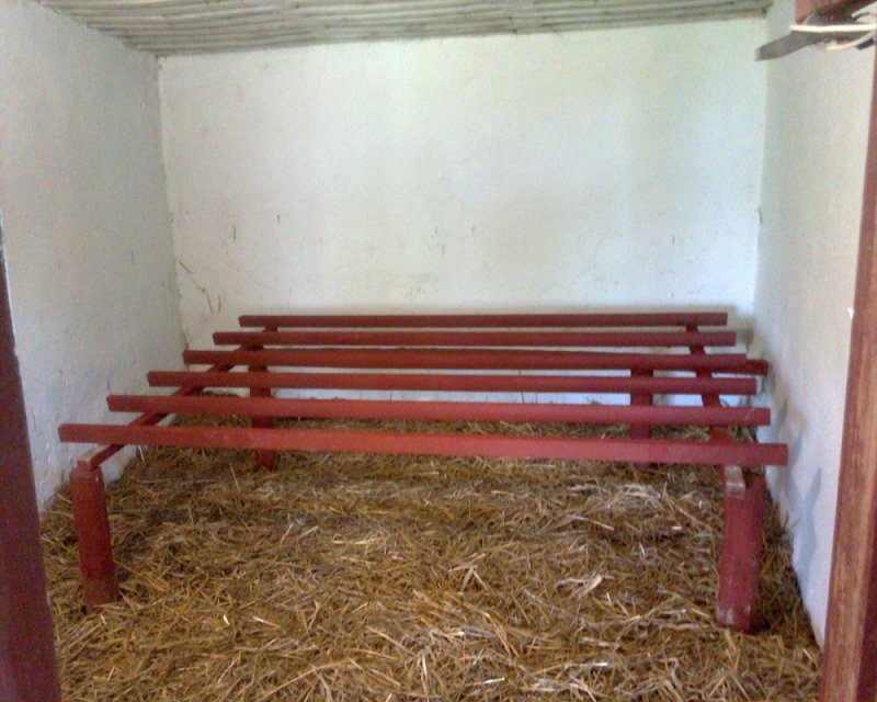 Мини курятник