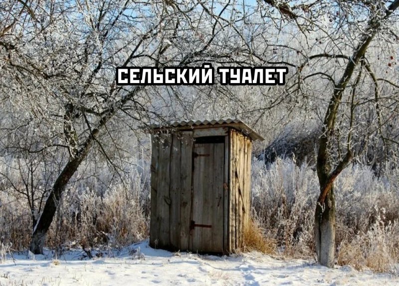 Деревенский туалет с унитазом