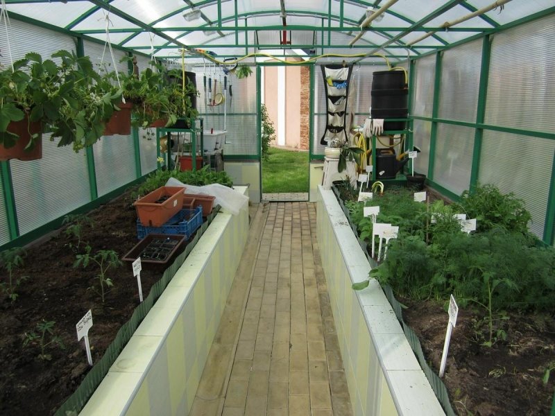 Распланировать грядки в теплице 3*6