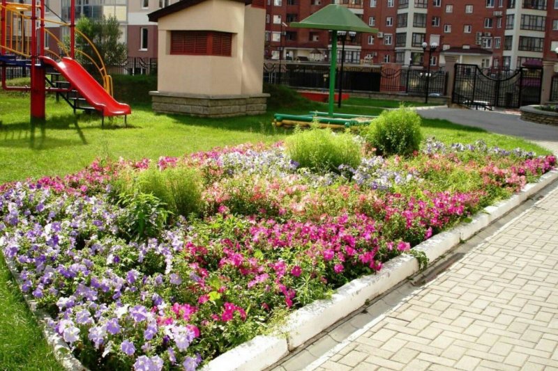 Озеленная территория в Казани