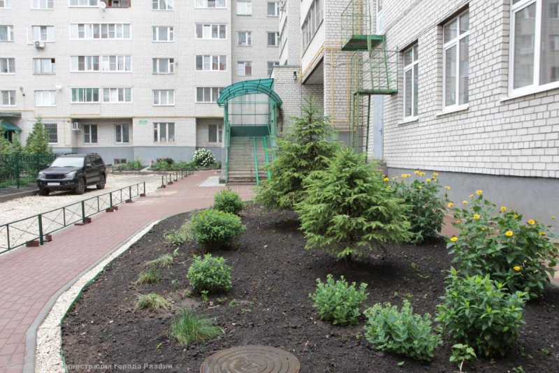 Озеленение многоквартирных дворах