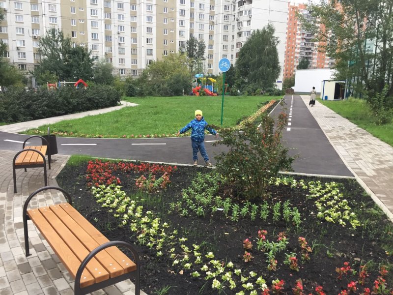 Озеленение придомовой территории