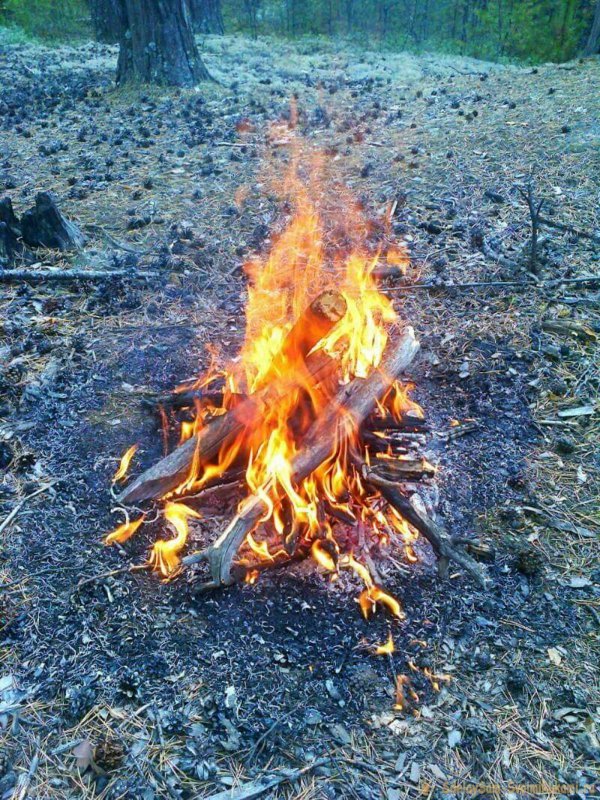 Добыча огня в лесу