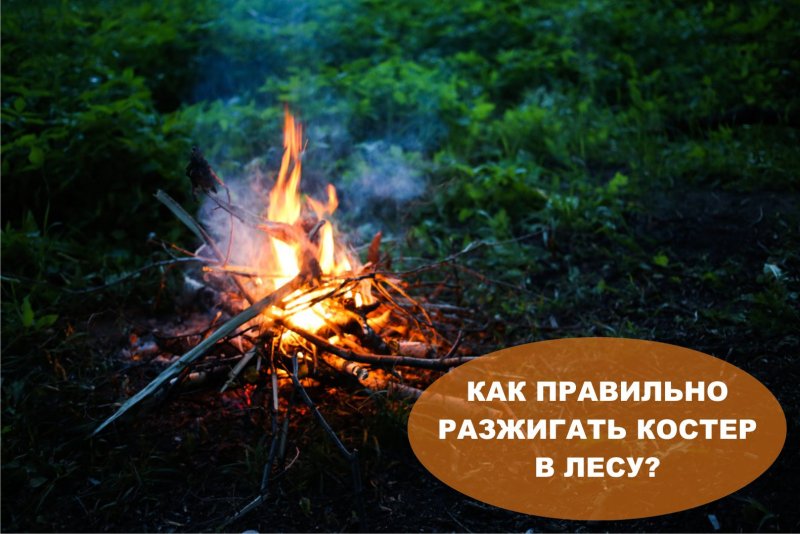 Правильный костер в лесу