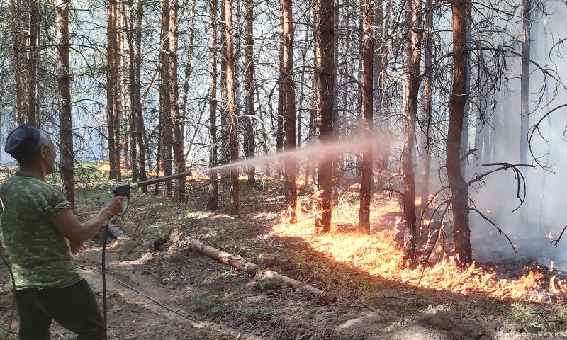 Особый противопожарный режим в Тихвинском районе