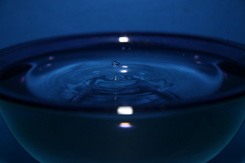Мисочка с водой