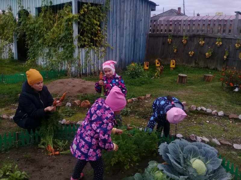 Огород с урожаем в ДОУ
